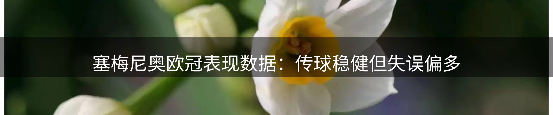 新闻展望